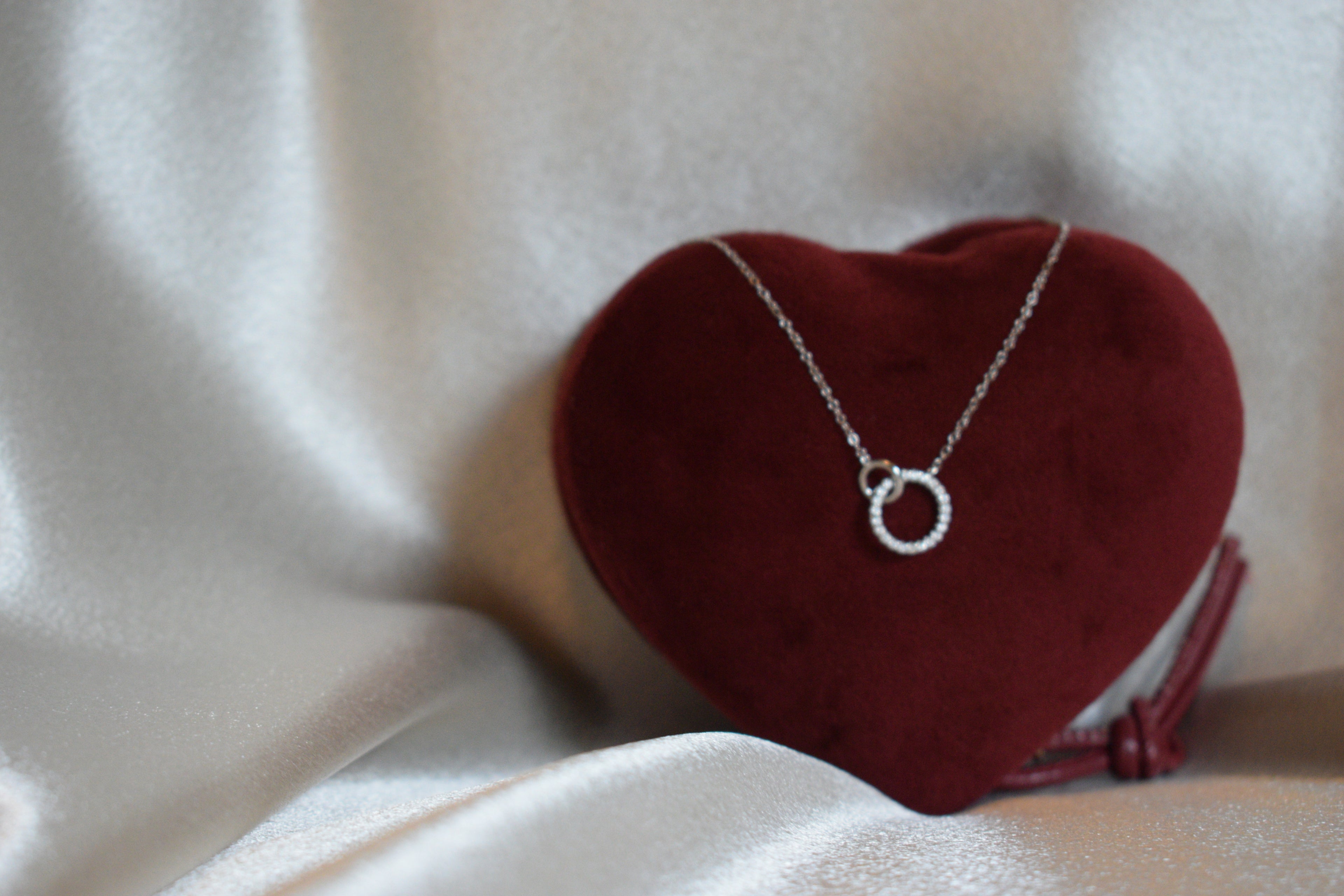 Por Vida Necklace in Silver